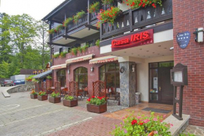 Гостиница Pensiunea Casa Iris, Синая